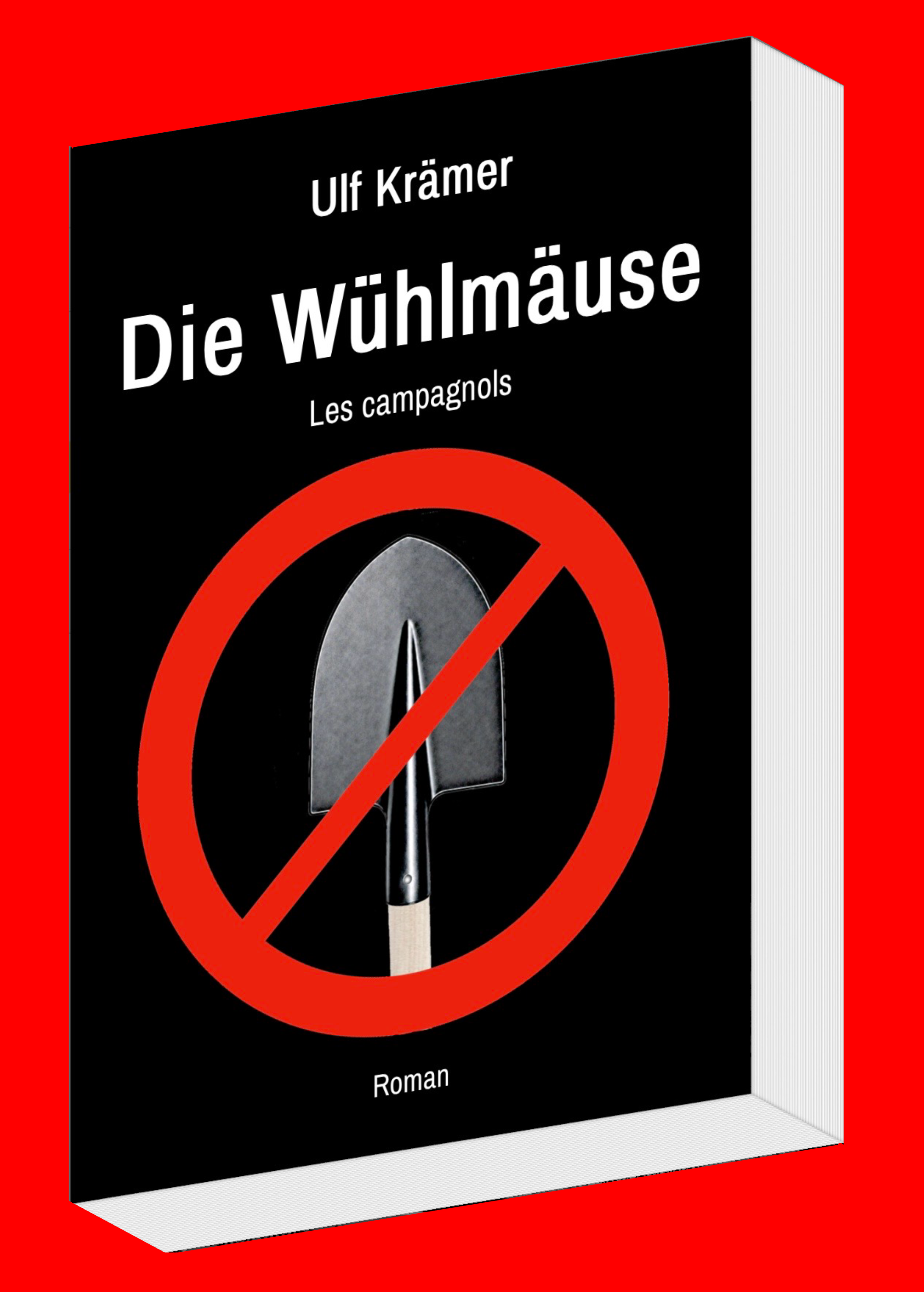 Cover Roman 1